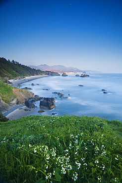 View of beach, wildflowers, and city lights at dusk below Ecola Point, Ecola State Park, Oregon.