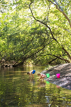 Toddler boy and girl search for rocks in creek at Bidwell Park, Chico, California.