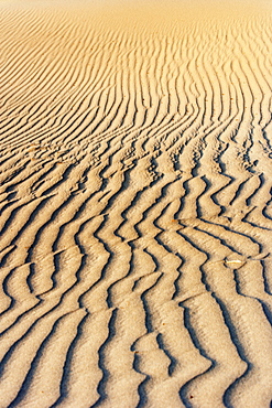 Wind blown lines on a sand dunes in the Mesquite Flat Sand Dunes. Death Valley National Park.