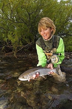 Female angler releasing a rainbow trout into the Rio Limay in Patagonia near Bariloche, Argentina.