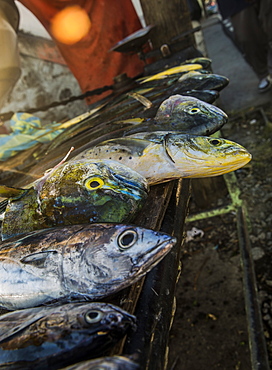 Fish lay on table in West coast of Dominica