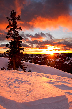 Winter sunset on the Sierra crest near the Peter Grubb hut on Donner Pass