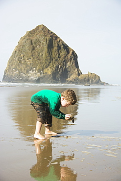 Toddler boy looking for treasures in front of Haystack Rock on Cannon Beach, Oregon.