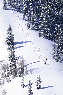 Suzanne Montgomery and Bill Ericksn skiing at The Canyons, Park City, Utah, United States of America