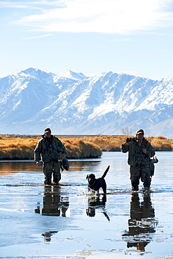 Brad Jackson and Corey Funk hunt ducks with their dog Grizzly in Carson City, NV, United States of America