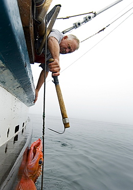 Sept 24, 2008 20 miles offshore of Morro Bay California. Captain Bill Blue fishing for Black Gill Rock Fish off the coast of Big Sur California using the "hook and line", or "long-line" method. A new wave in sustainable commercial fishing is pushing fisherman to switch from higher impact methods of harvesting fish like trawling- to hook and line or long line harvest, United States of America