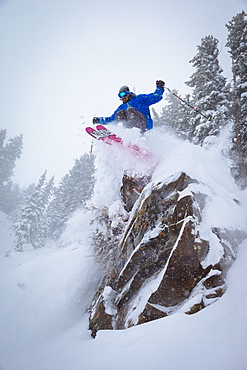 A man skiing off a cliff into fresh snow. Snowbird, Utah