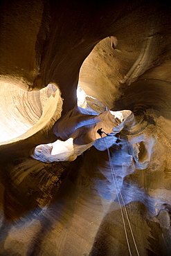 Man rappelling down into slot canyon, Zion National Park, Utah.