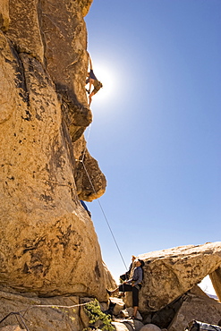 Climbing in Joshua Tree.