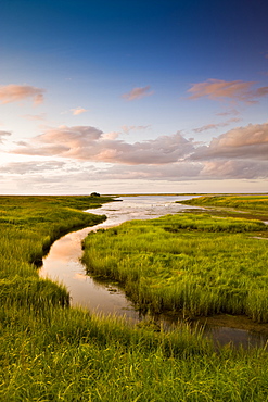 Summer marshland at sunset