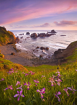 Wildflowers, sea and sunset on Oregon's North Coast.