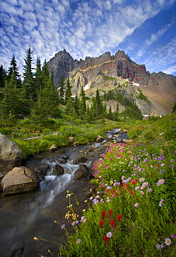 Beautiful wildflowers and stream beneath Oregon's Three Fingered Jack Peak.