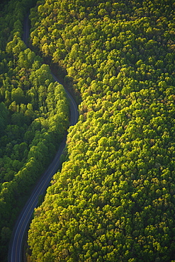 Aerial view of a curving road through a forest in Fayetteville, WV