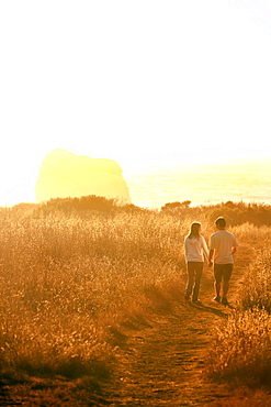 Holding hands in sunset, Big Sur, California