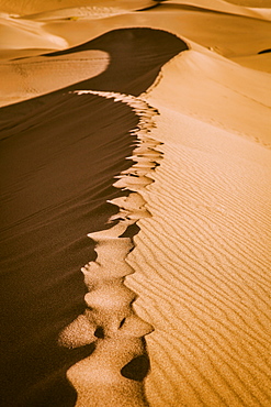 Top of a sand dune