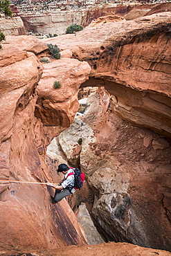 A man rappels down into a canyon below a natural rock arch in the desert.