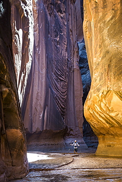 Man hiking in a beautiful canyon in the desert.