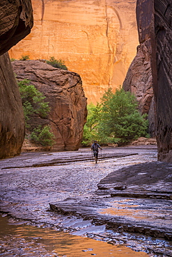 Man hiking in a beautiful canyon in the desert.