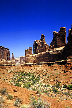 A portion of the Needles, Canyonland National Park.