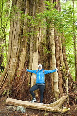 A young woman stands in front of a giant Cedar Tree along the Wild Pacific Trail, Vancouver Island, British Columbia