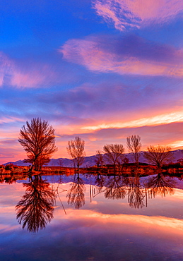 Mill Pond sunset, Bishop California