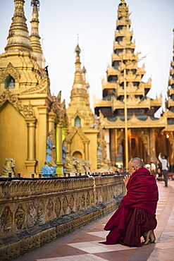 A Buddhist monk prays at the Shwedagon pagoda, Yangon, Myanmar.