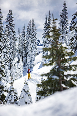 Rear View Of Person Skiing In Snowy Region In Lake Tahoe, California, USA