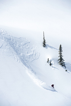 A Snowboarding Doing A Slash In Fresh Powder In The Canadian Backcountry