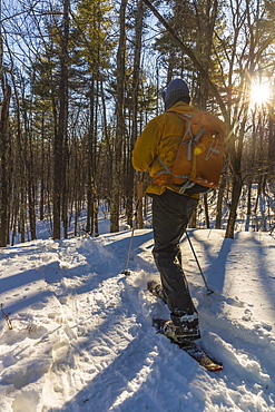 A Man Snowshoeing On Kennard Hill In Epping, New Hampshire