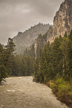 View Of Gallatin River In Montana, Use