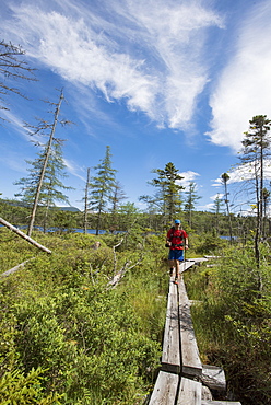 Man Walking On Boardwalk While Hiking In White Mountains