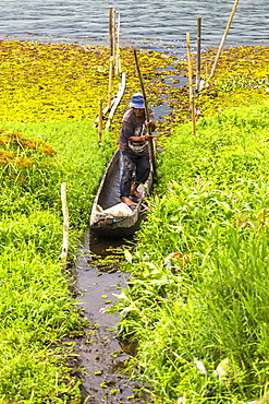 Fisherman At Lake Buyan, Bali, Indonesia