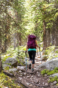 A Female Hiker Hiking On A Forest Trail In Rocky Mountain National Park, Colorado