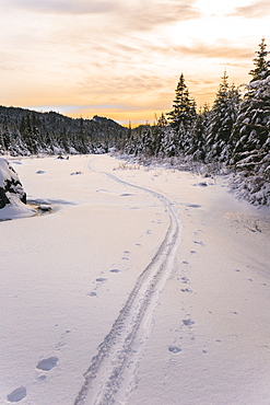 Ski Tracks Along The Frozen Snowy Landscape Over Opalescent River Near Flowed Lands, Adirondack Park