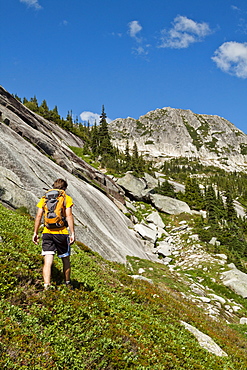 A Backpacker Approaches Vicuna And Guanaco Peaks Via The Meadows In British Columbia, Canada