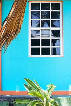 Window in the colorful wall of a tropical store