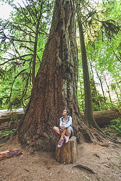 A young woman sits on a stump below an ancient Douglas Fir tree in Cathedral Grove, Cathedral Grove, British Columbia.