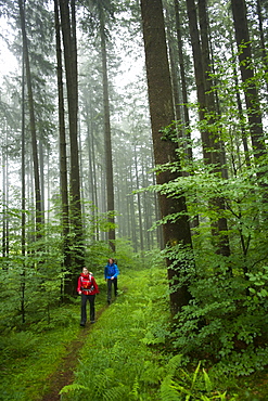 Man and woman hiking in Appenzellerland