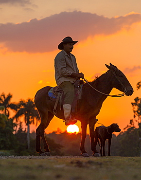 Campesino sitting on horse with dog at sunset