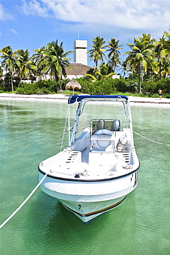 Motorboat moored on water with beach and palm trees in background, Isla Contoy, Mexico