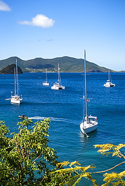 View of sailboats in sea, Bourg de Saintes, Isles des Saintes, Guadeloupe