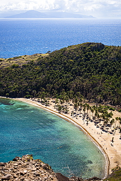 Aerial view of beach with palm trees, Bourg de Saintes, Isles des Saintes, Guadeloupe