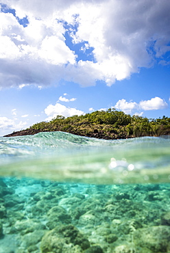 Scenic view of reef in Bouillante at the Jacques Yves Cousteau Underwater Preserve, Basse Terre, Guadeloupe