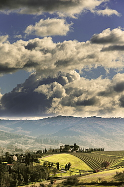 Typical Tuscan landsape with a vinyards and farmhouse under cloudy skies.