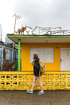 Side view of female tourist looking at dog on roof on street of Baracoa, Guantanamo Province, Cuba