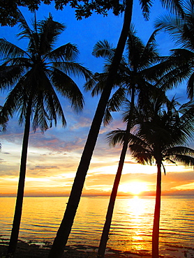 Scenic view with silhouettes of palm trees on beach at sunset, Boracay, Aklan, Philippines