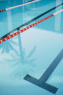 Detail of swimming pool line and shadow of palm tree reflected in water surface, Mallorca, Balearic Islands, Spain