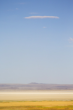 A dry desert landscape of yellows and tans below a light blue sky with one thin cloud Summer Lake, Oregon, USA