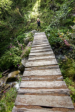 Distant view of senior woman hiking onÂ footpathÂ in forest,Â HauteÂ Route,Â ValaisÂ Canton, Switzerland