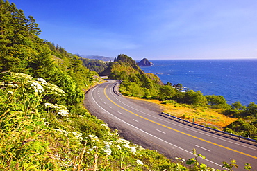 Wildflowers And Afternoon Light Add Beauty To The Highway And Rock Formations At Humbug Mountain State Park; Oregon United States Of America